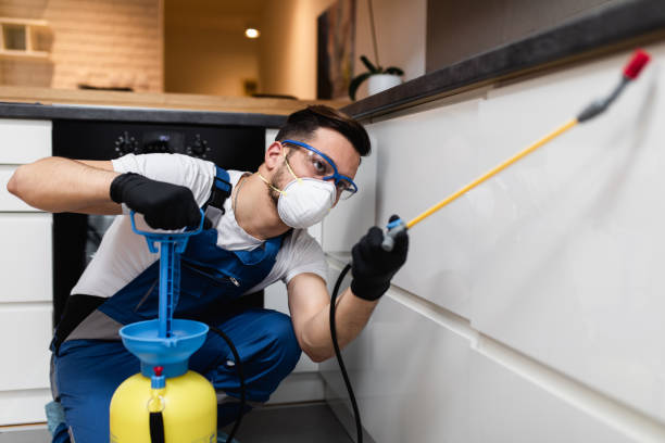 Best Cockroach Control Services  in Seven Mile, AZ