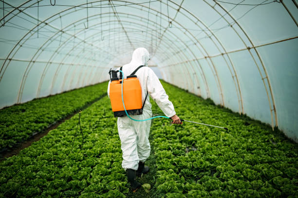 Best Pest Removal Services  in Seven Mile, AZ
