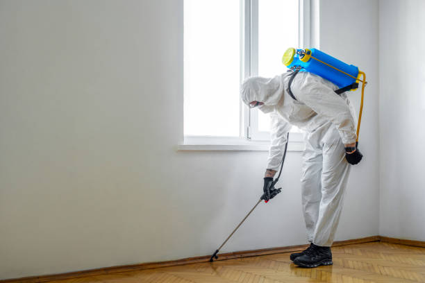 Best Commercial Pest Control Services  in Seven Mile, AZ