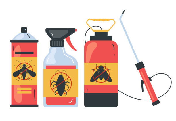 Best Affordable Pest Control Services  in Seven Mile, AZ